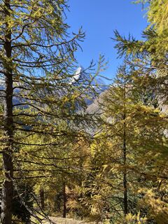 Foto från David Amrein under resans gång