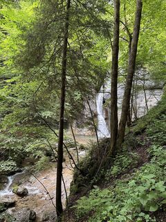 Foto da Babs Holz lungo il tour