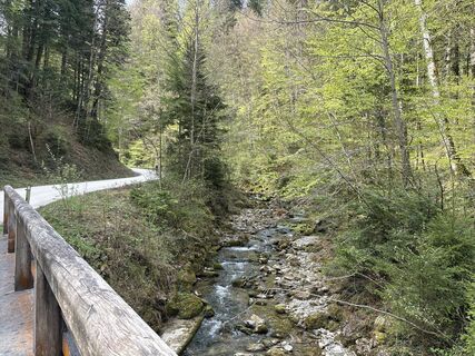 Anger_Stoisseralm