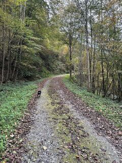 Foto da Günter Schwarz lungo il tour