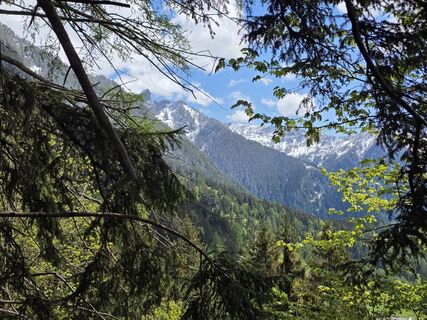 Foto von Carlo Ospelt (Wuffenstein) entlang der Tour
