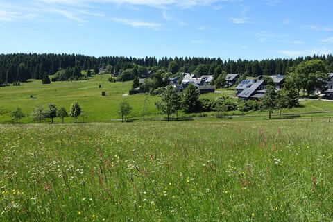 Bergwiesen um Friedrichshöhe