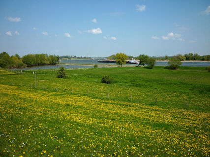 Rheinwiesen mit Schiff