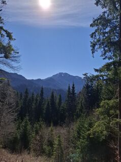 Foto von Miha Gros entlang der Tour