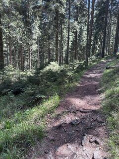 Foto von Andreas Pop entlang der Tour