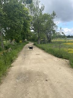 Foto von Andi Felix entlang der Tour