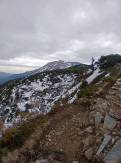 Photo de Daniel Kremiec le long du parcours