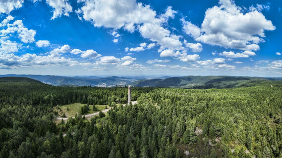 Blick auf den Hohlohturm