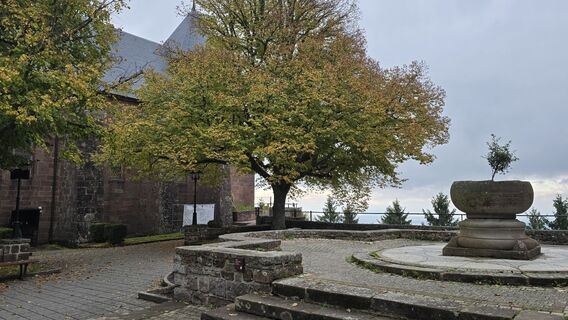 Foto de Katja Senkel a lo largo del recorrido