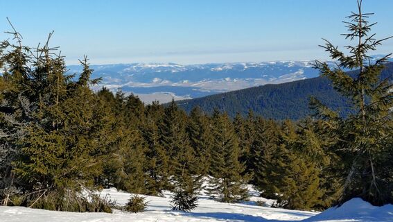 Zdjęcie z István Gábor 1 wzdłuż trasy
