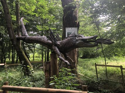 Fotografija s spletne strani Natale Maffioletti na poti