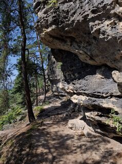 Fotografija s spletne strani nordbergschnecke na poti