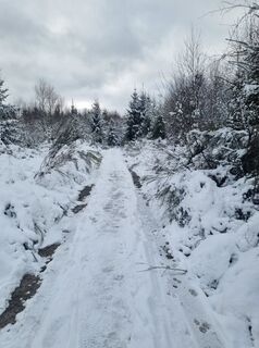 Foto von Volker Wagener entlang der Tour