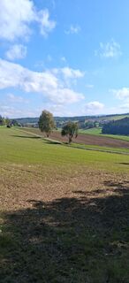 Foto från Dreas Reyem under resans gång