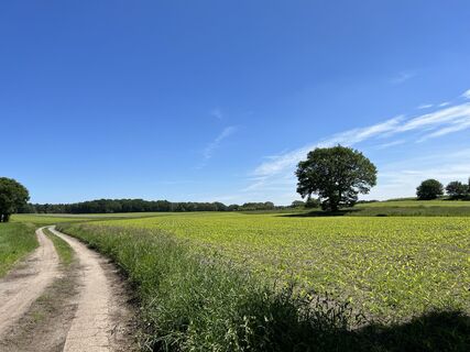 Weite rund um Meyenburg