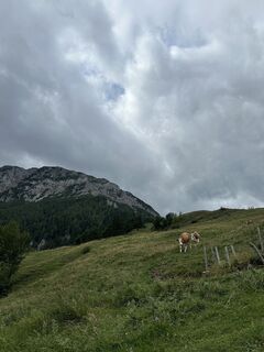 Fotó a Yugpreet Birk honlapról a túra során