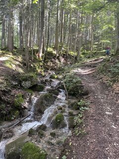 Foto von László Tivadar entlang der Tour