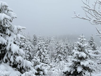 Photo de Dani Geiger / Natur_erleben_dg le long du parcours