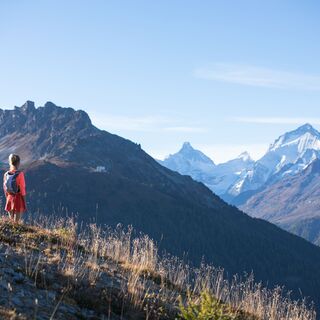 Blick auf die Viertausender des Val d'Anniviers, unter der Bella-Tola-Hütte.