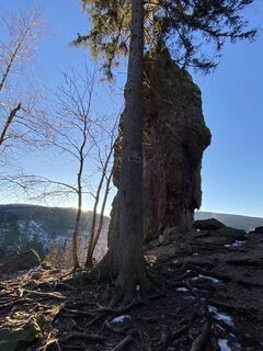 Fotografia z Arthur Muskalla na trase