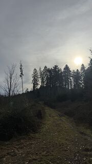 Fotografie z Thomas Krieg na trase