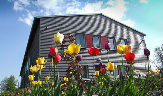 Outdoor inn mit Wiese im Frühling