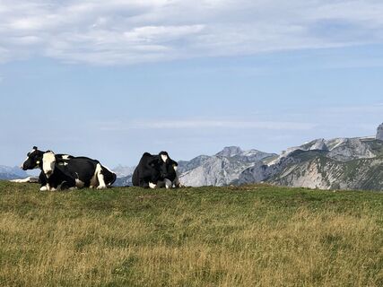Foto da Barbara Schober lungo il tour