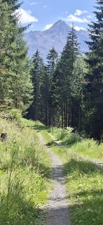 Fotografija s spletne strani Cordula Faupel na poti