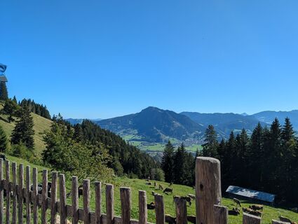 Foto von Vanessa L. entlang der Tour