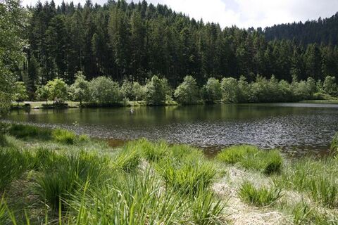 Der Sankenbachsee