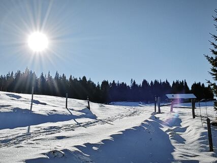 Foto de Sabine a lo largo del recorrido