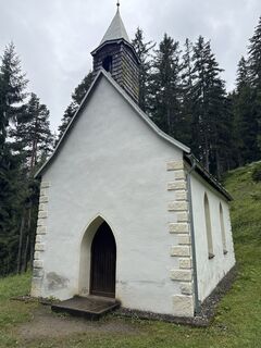 Foto von Grizzli entlang der Tour
