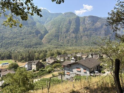 Photo de Koen De Wit le long du parcours