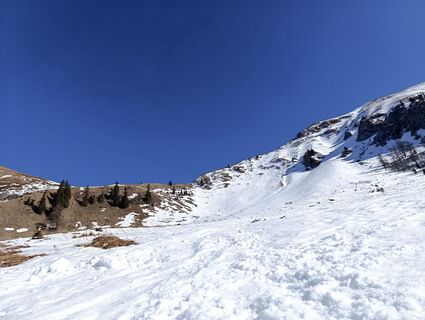 Foto från rotbaeder under resans gång