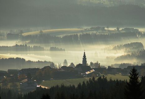 kraftpfad, wenigzell_img_6728200