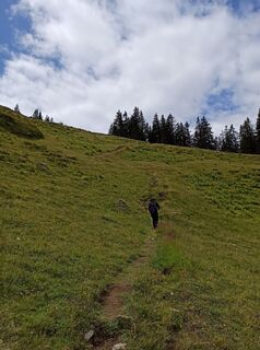 Foto de Oli a lo largo del recorrido