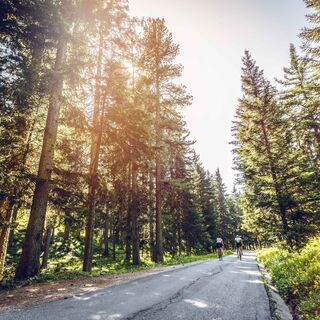 Radfahrer, Moosalpstraße