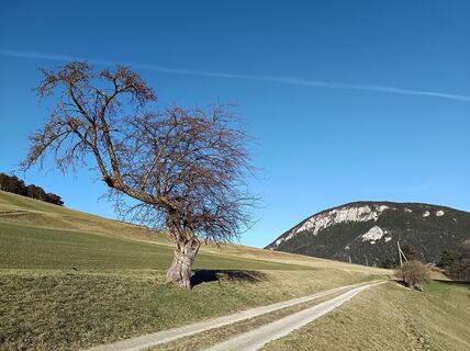 Foto von Bergpirat entlang der Tour