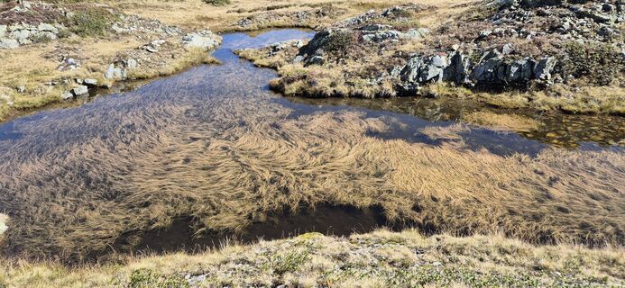 Foto de Burkhard Vetsch a lo largo del recorrido