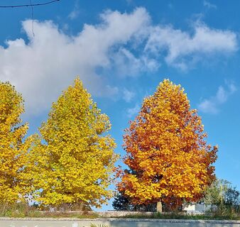 Fotó a Schmitzberger Hans honlapról a túra során