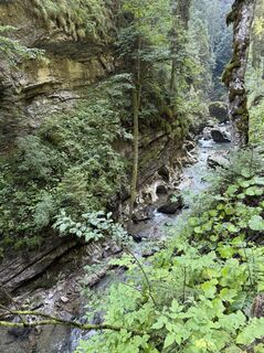 Photo de Anna Andrzejewska le long du parcours
