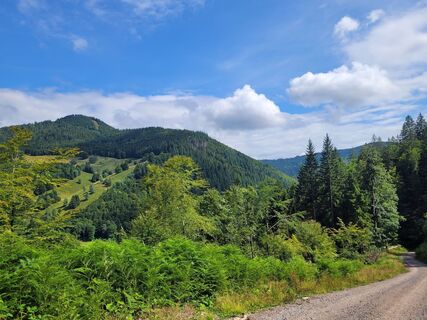 Zdjęcie z Liddeldi wzdłuż trasy