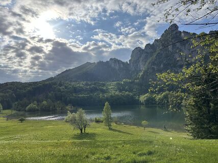 Foto van Dani Geiger / Natur_erleben_dg langs de tour