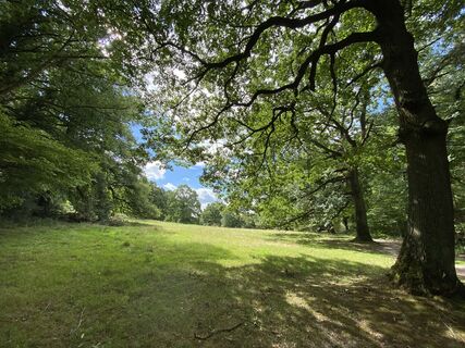 Fotografia z Hans-Martin Kühn na trase