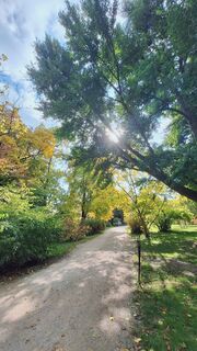 Фото с сайта Regina Fleischmann во время экскурсии