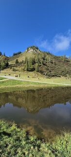 Fotografija s spletne strani Bruunoo na poti