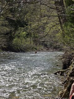 Photo de Markus Ortner le long du parcours