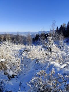 Photo de Edith K. le long du parcours