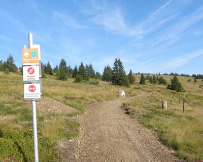 Route 50 - Wexl Trails
