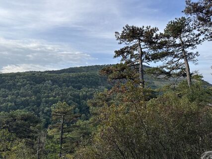 Фото с сайта Margarete Mierzwa во время экскурсии